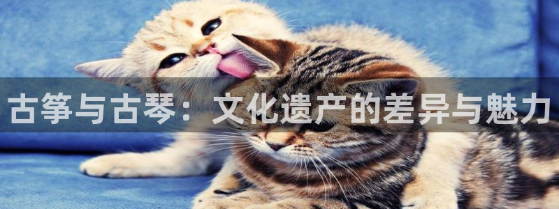 凯发首页