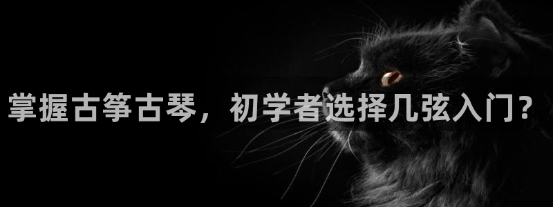 凯发k8全球公开