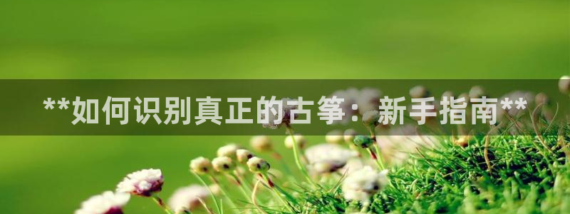 凯发k8官方网娱乐官方