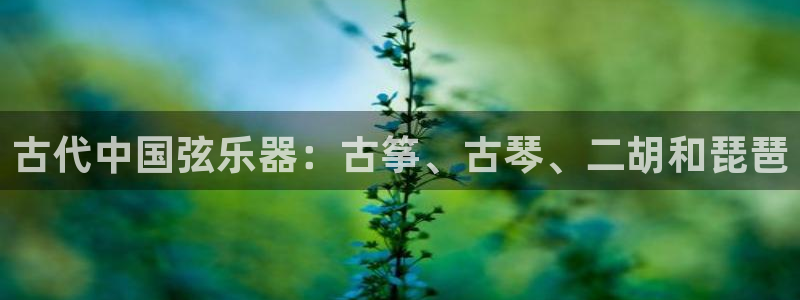 凯发国际官网下载