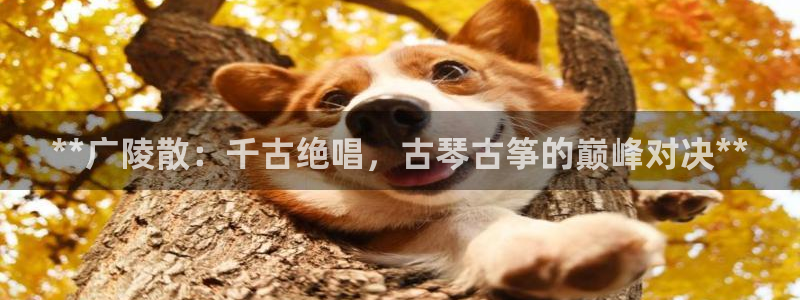 凯发k8娱乐是国内平台?