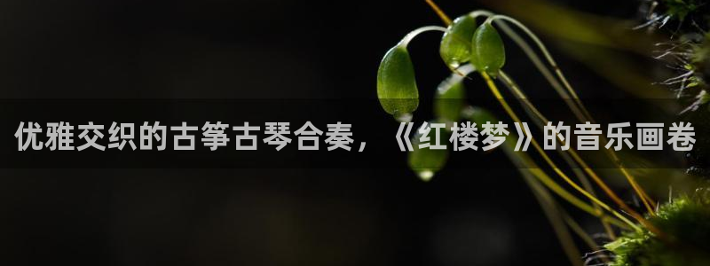 凯发k8官方