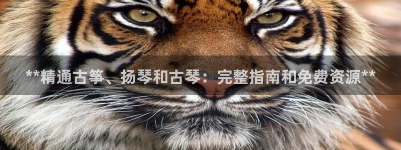 凯发官方手机app