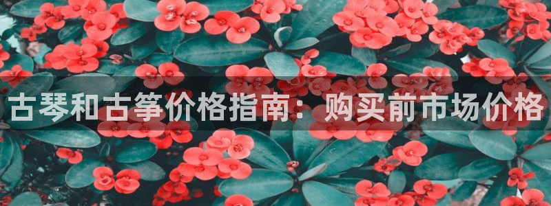 凯发app可信吗