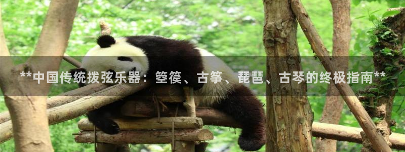 凯发k8ag旗舰厅网址