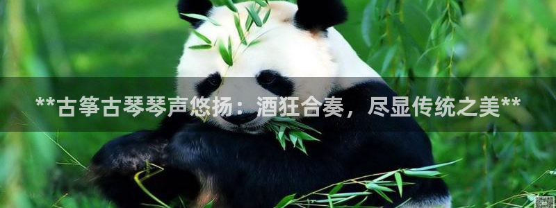 凯发娱网址是什么