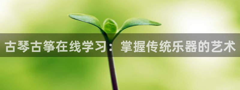 凯发官方网站是多少