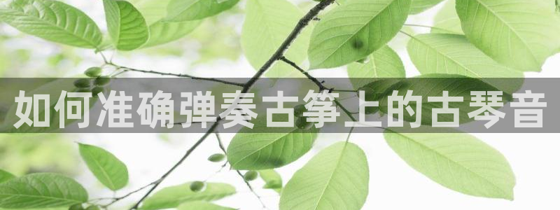 凯发平台敌7O777
