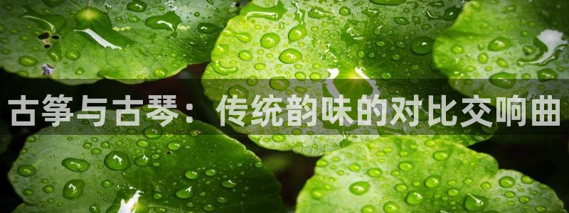 凯发k8国际真人版可靠送38元