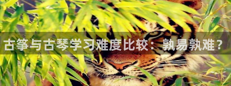 凯发k8网站是多少