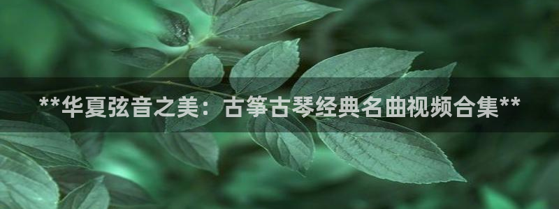 凯发国际亚洲有限公司