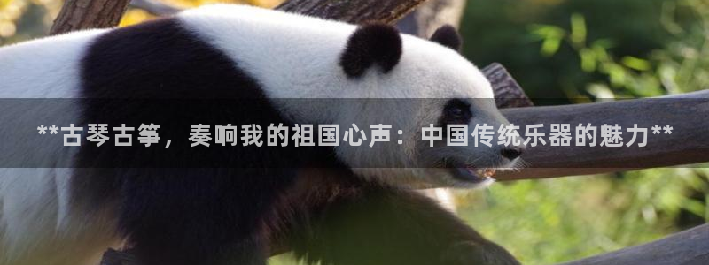 凯发平台k8