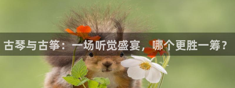 凯发旗舰厅