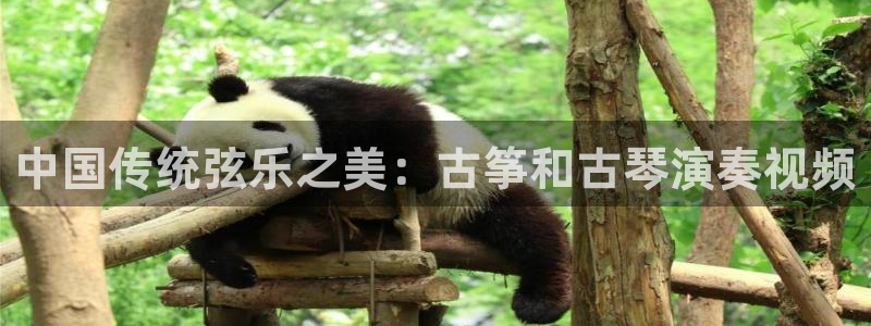 凯发k8娱乐官网入