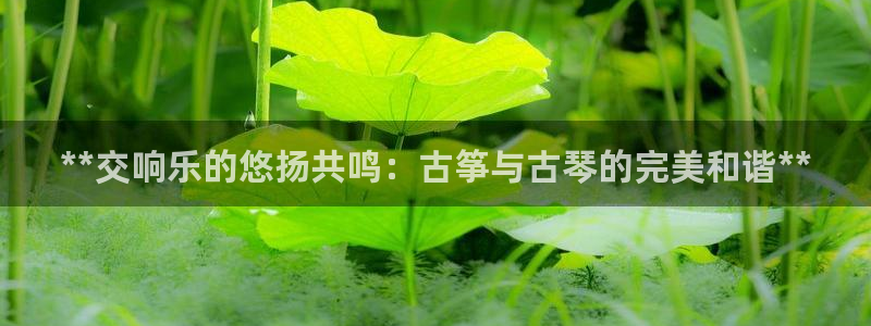 凯发手机app官网
