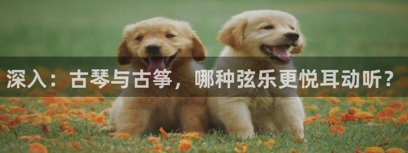 凯发娱乐k8下载