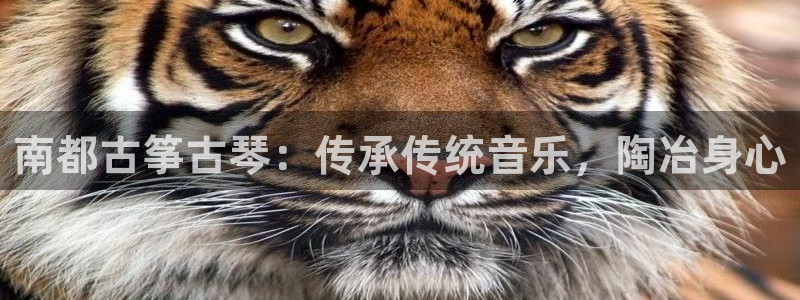 凯发国际平台首页