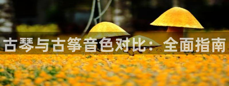 k8凯发官方找就送38