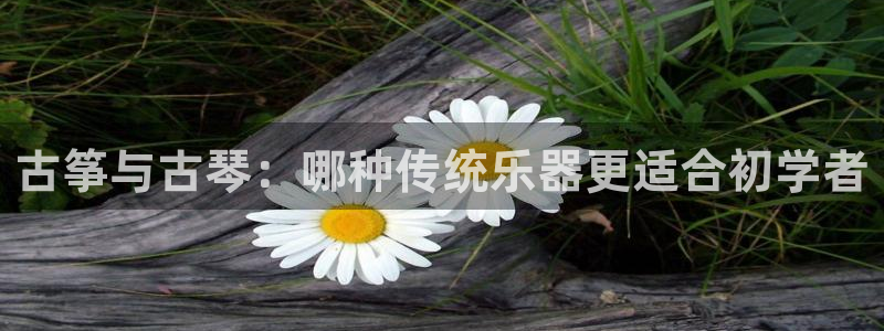 凯发网址直营