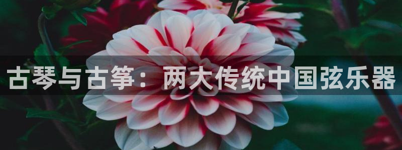 凯发正规网站