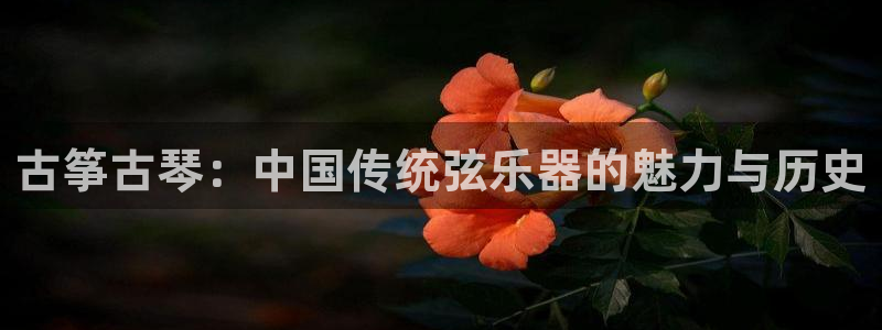 凯发官网入口首页