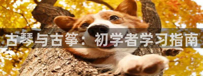 凯发国际网址官网首页