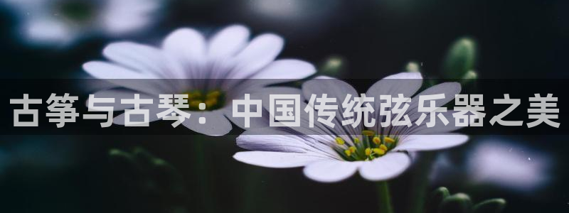 凯发网官网