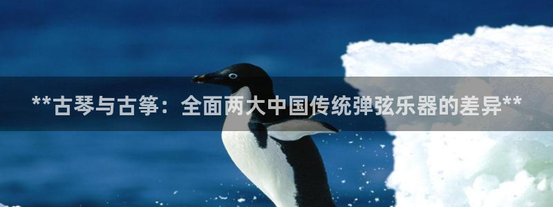 凯发网址多少