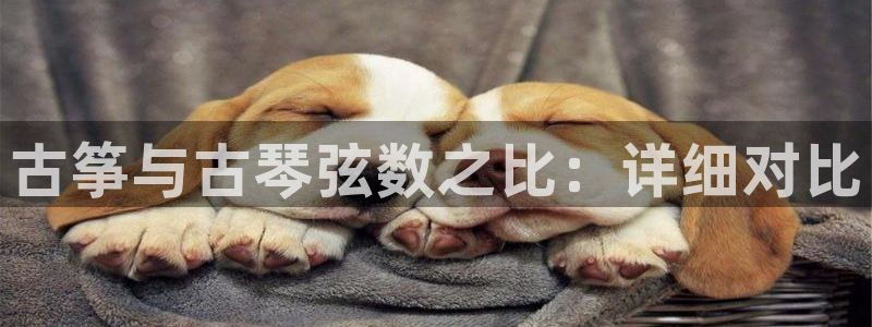 凯发官网平台