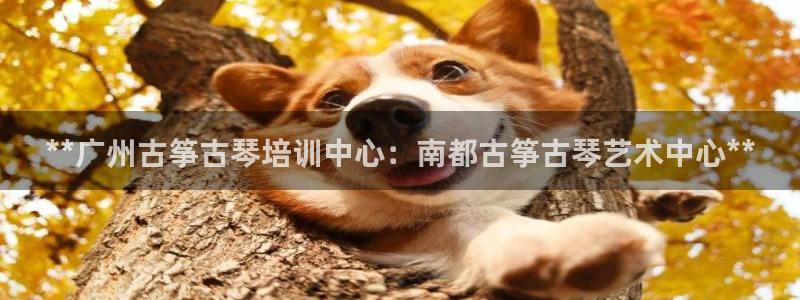 凯发旗舰平台