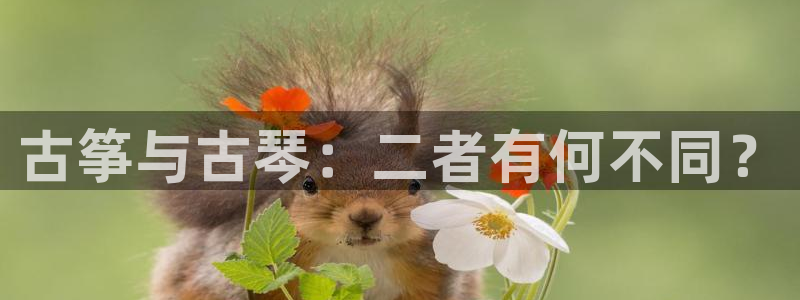 凯发国际app下载