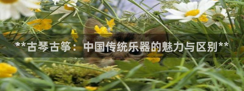 凯发官网入口首页