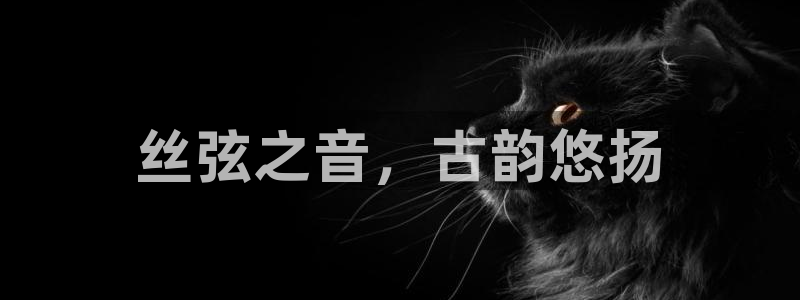 凯发娱乐k8国际