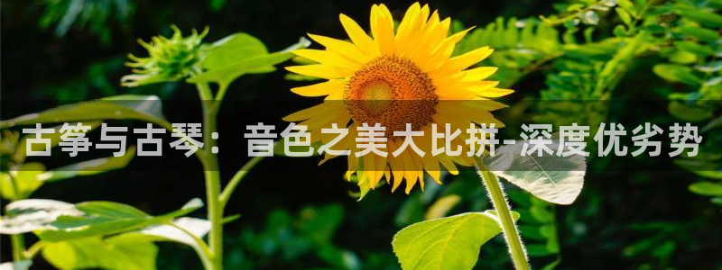 凯发k8娱乐官网网址中心