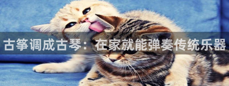 凯发最新官方app下载