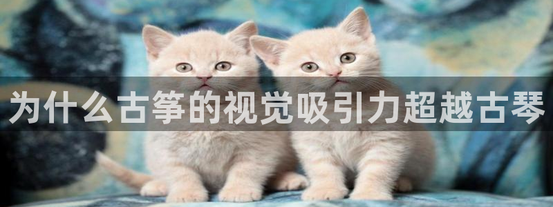 凯发国际网站