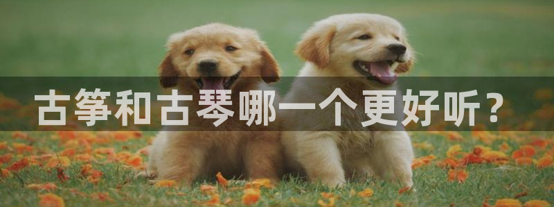 凯发正规网站