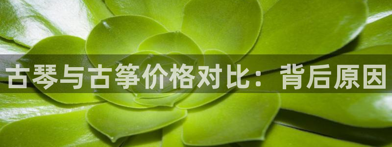 凯发国际是什么投资平台