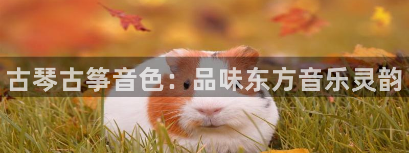 l凯发国际官网