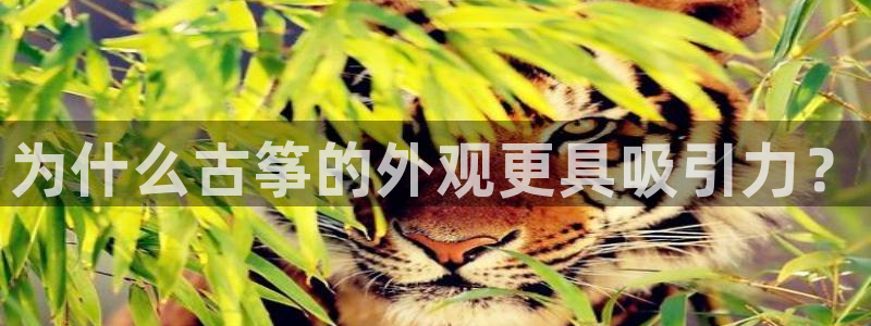 l凯发国际官网