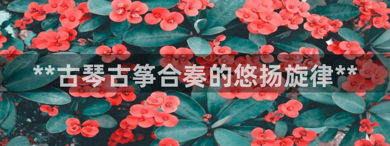 凯发官方网站是多少