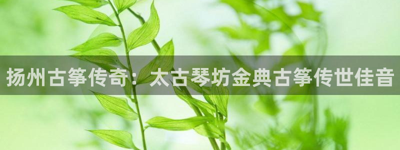 凯发k8娱乐官网入