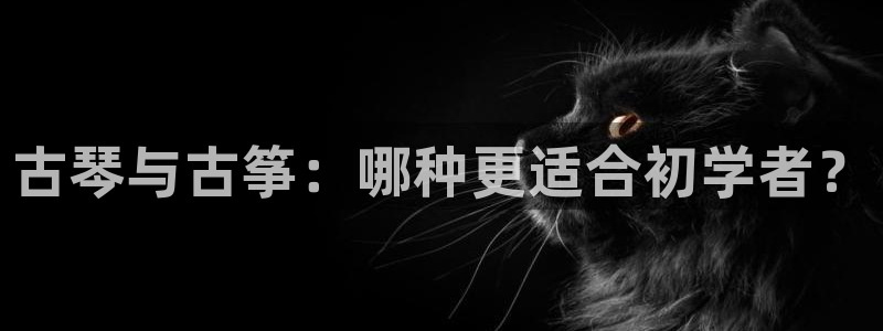 凯发娱乐k8国际：古琴与古筝：哪种更适合初学者？
