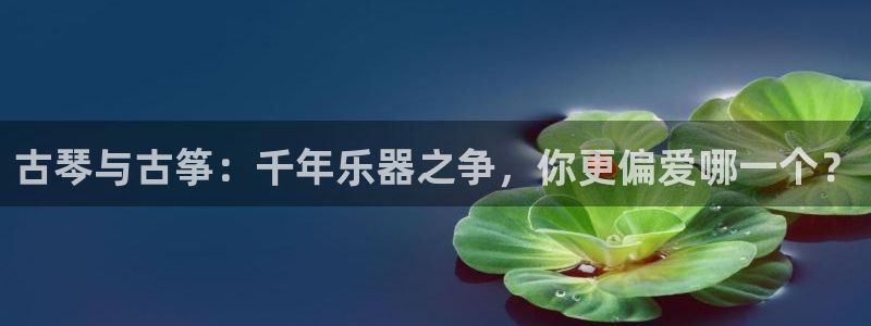 凯发网址多少