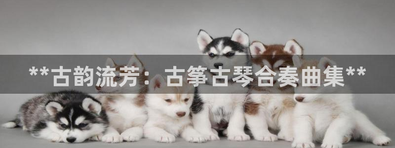 凯发k8手机是正品吗多少钱