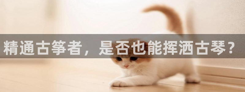 凯发k8娱乐平台网址