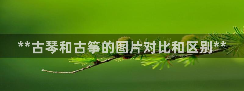 k8凯发是做什么的：**古琴和古筝的图片对比和区别**