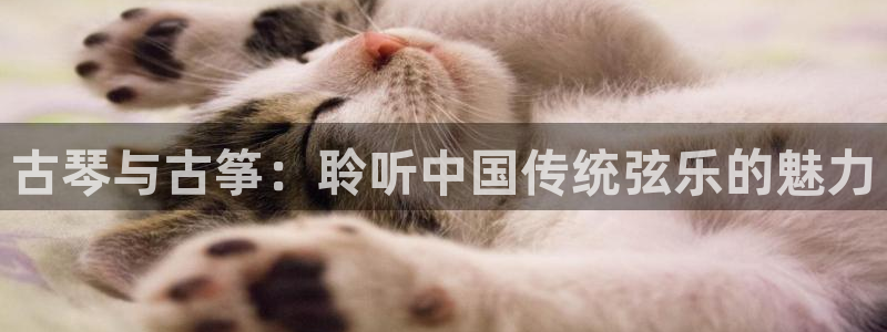凯发旗舰客户端