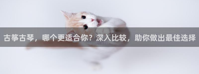凯发网网站