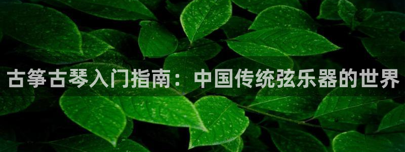 凯发k8555|手机版